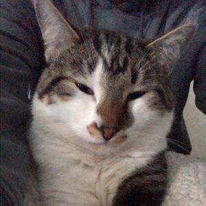 Meet your Posher, Mikala